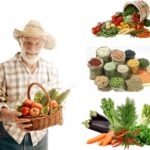 5 أصناف من بذور الخضروات سريعة الإنبات للزراعة المنزلية وزراعة الأسطح والحديقة بذور خس بذور بقدونس بذور سبانخ بذور خبيزة بذور كرات من مشاتل المنوفية
